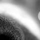 Illustration for article titled 180 Beautiful Black White Images